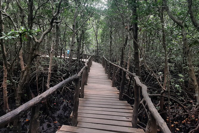 Jozani Forest, Kuza Cave, Paje Beach and The Rock Restaurant - What the $100 price really covers