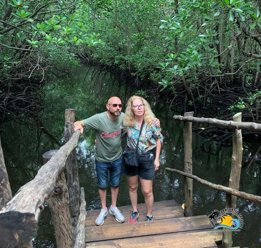 Jozani Forest, Kuza Cave, Salaam Caves & The Rock Restaurant - Who will get the most from this tour?