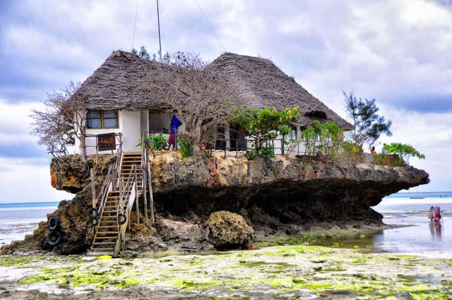 Jozani Forest, Lunch at The Rock, Mnemba Snorkeling Tour - Why this Zanzibar day works well