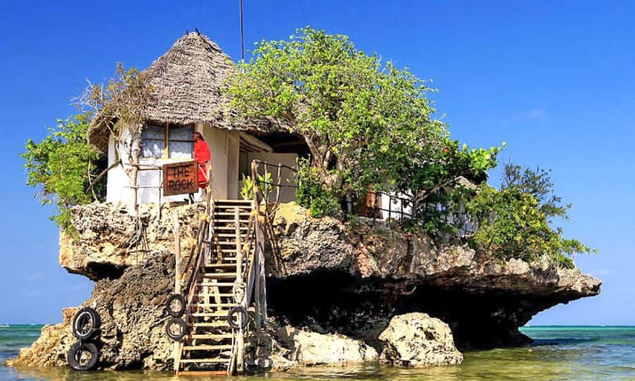 Jozani Forest, Lunch at The Rock, Mnemba Snorkeling Tour - Swimming with sea turtles at Salaam Cave