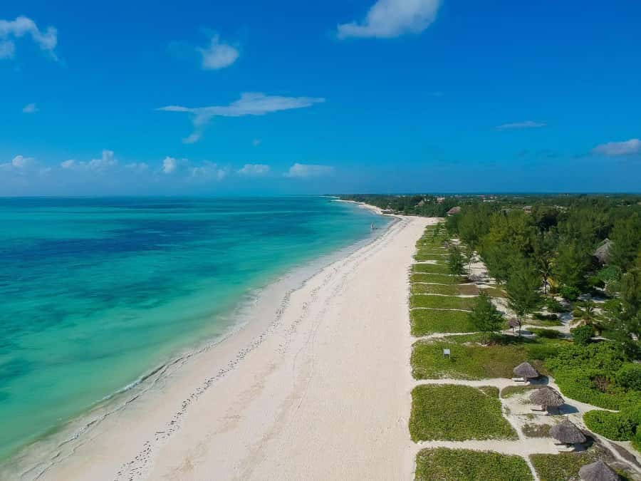 Jozani Forest & Paje Beach Trip with The Rock Restaurant - Two Hours on the White Sands of Paje Beach