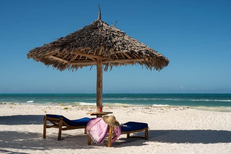 Jozani Forest & Paje Beach Trip with The Rock Restaurant - Meeting Zanzibar’s Red Colobus Monkeys at Jozani Forest