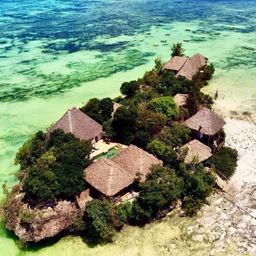 Jozani Forest, Pongwe, Snorkeling with Turtles, Clear Kayak - Swimming with sea turtles at Nungwi Beach