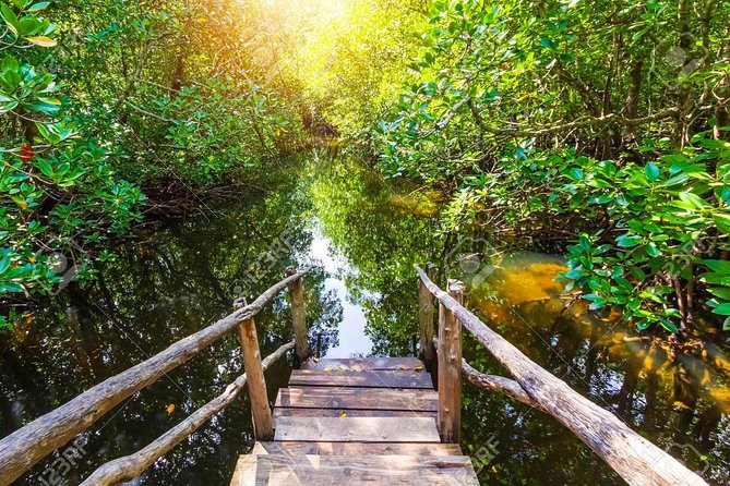Jozani Forest Reserve Half-Day Guided Tour from Zanzibar - Why Jozani Forest is worth your time