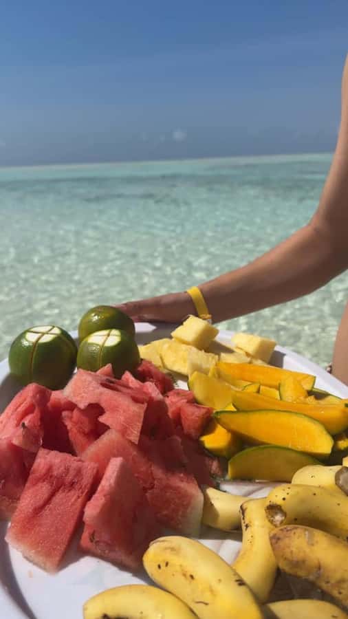 Jozani Forest, Sea Turtles, Blue Lagoon, Starfish & The Rock - What to bring and how to prepare