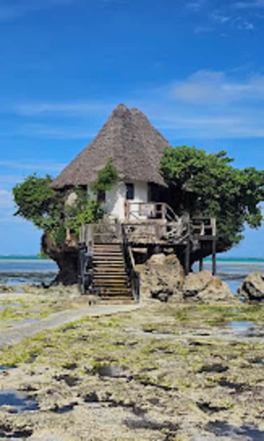 Jozani Forest, Star fish and the rock restaurant - Key points to know before booking