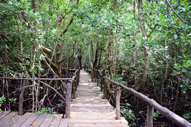 Jozani Forest Tour - What the $48 price includes