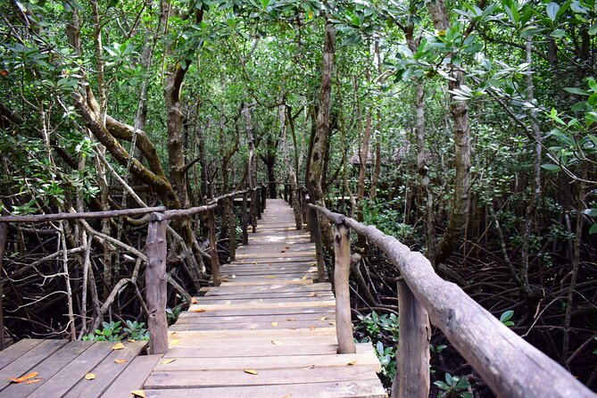 Jozani Forest Tour - How the guiding affects the day