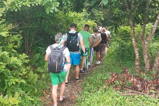 Jozani Forest Tour - Finding Kirk’s red colobus monkeys in the treetops