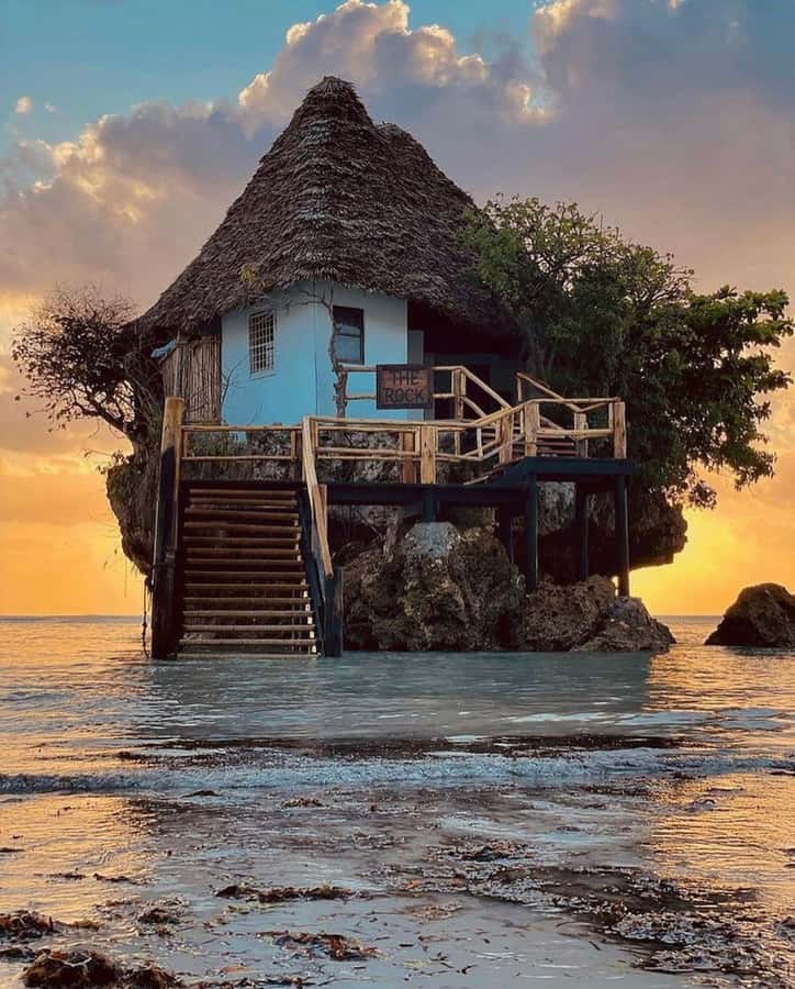 Jozani Monkey Tour, Kuza Cave Tour, Paje Beach, The Rock - Jozani Forest and Zanzibar’s red colobus monkeys