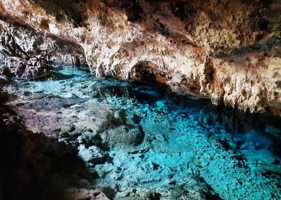Jozani Monkey Tour, Kuza Cave Tour, Paje Beach, The Rock - The guide, driver, and private touring style