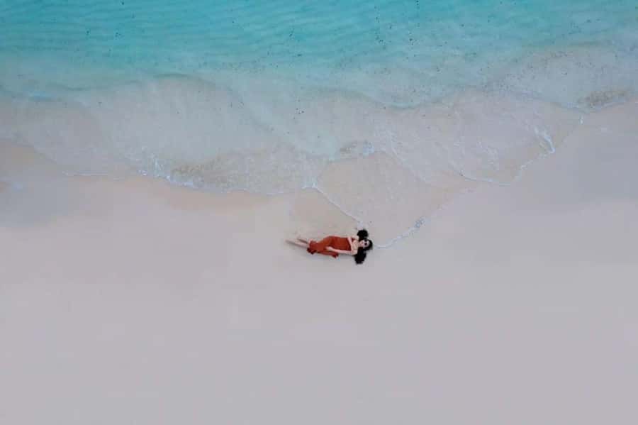 Jozani Monkey Tour, The Rock Restaurant, Mnemba Snorkeling - Mnemba Atoll by private boat