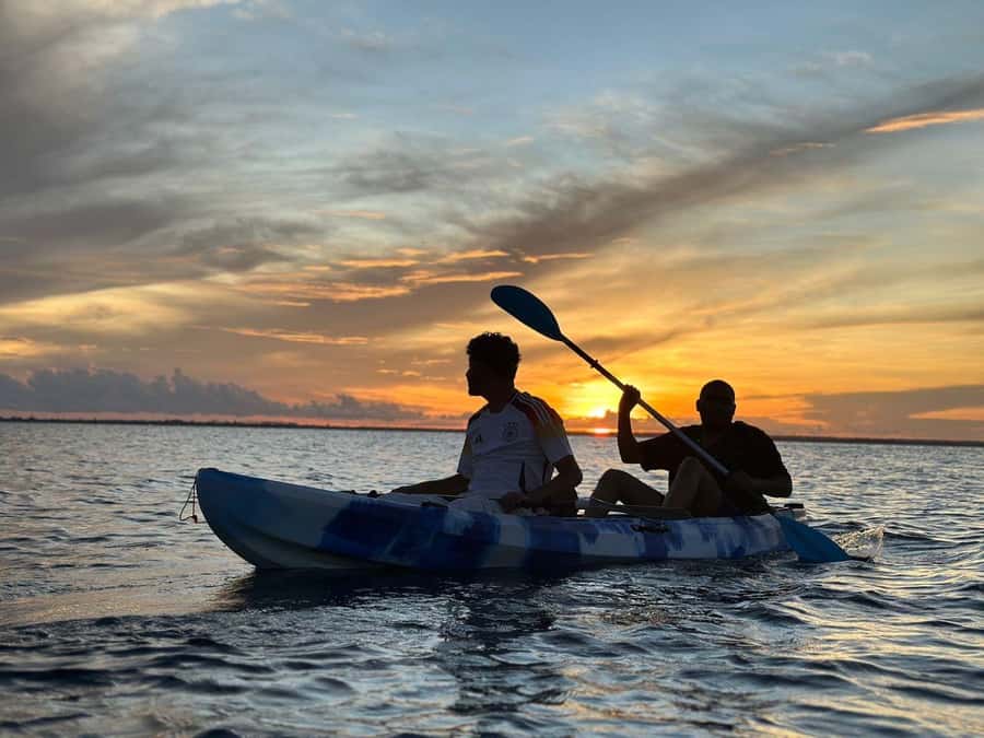 Kayak Mangrove Tour - Starting at Ally Kayak in Michamvi
