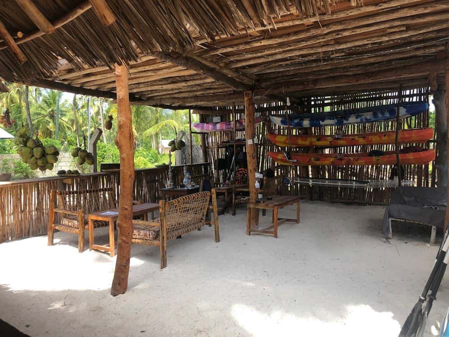 Kayak Mangrove Tour - What the $45 Price Really Includes