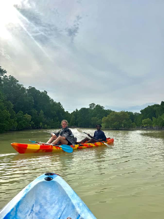 Kayak Mangrove Tour - Why the Tide Matters So Much