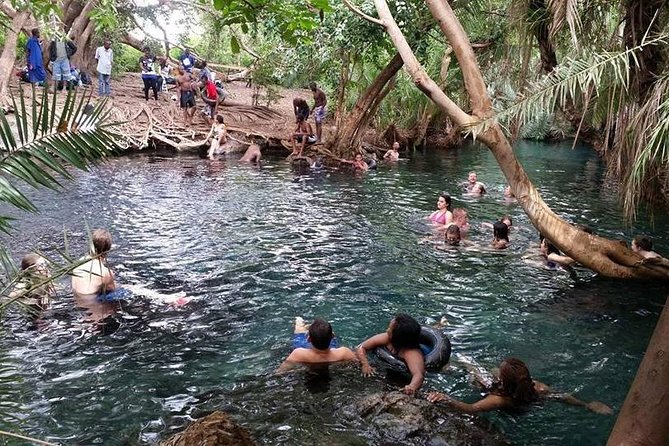 Kikuletwa (Chemka) Hot Springs Day Tour - What the $90 price really covers