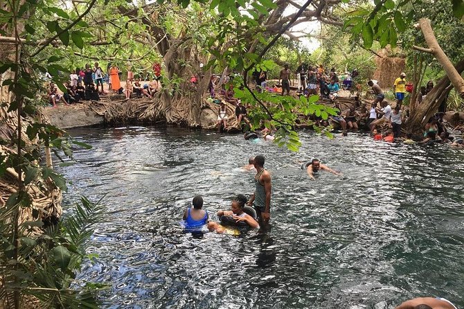 Kikuletwa hot spring and Arusha Cultural Heritage, Full Day Tour - Key points to know before you book