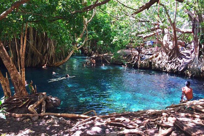 Kikuletwa hot spring and Arusha Cultural Heritage, Full Day Tour - A 7:00 am start from Arusha