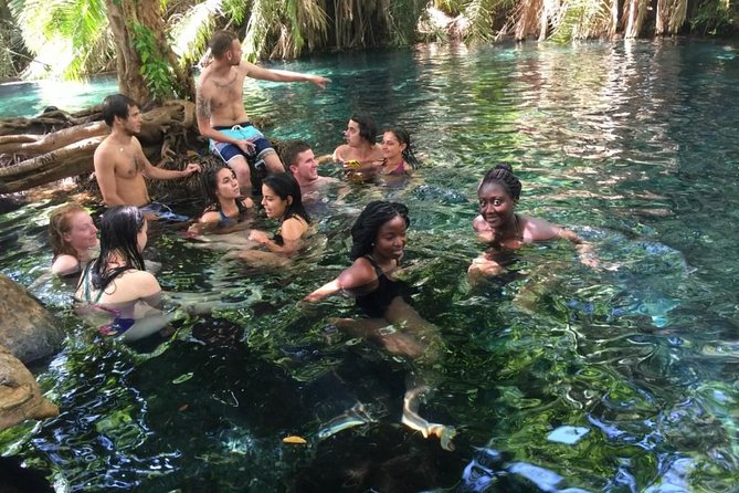 Kikuletwa hot spring and Arusha Cultural Heritage, Full Day Tour - Swimming, shade, and simple local food