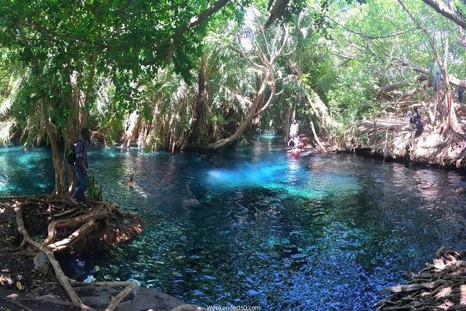 Kikuletwa hot spring and Arusha Cultural Heritage, Full Day Tour - What the $224 price includes