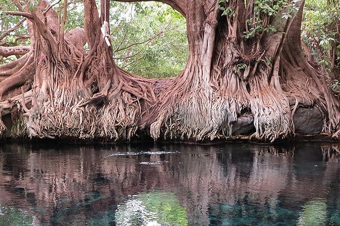Kikuletwa hot spring and Arusha Cultural Heritage, Full Day Tour - A private day works best for the right group