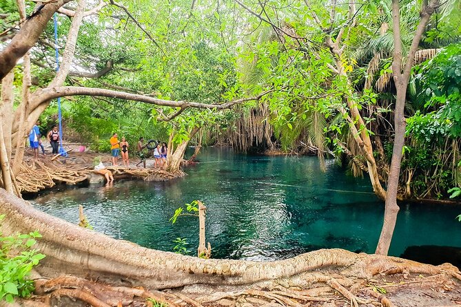 Kikuletwa Hot spring - Arriving at the natural hot spring