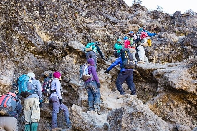 Kilimanjaro 7 Day Private Trekking Experience - Day 5: Karanga to Barafu Camp