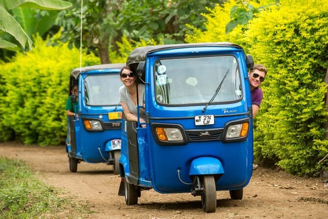Kilimanjaro Airport Private Transfer from/to Moshi - Leaving Kilimanjaro Airport for Moshi