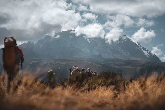 Kilimanjaro climb by Lemosho Route (7-day) - Day 7: Uhuru Peak and the long descent