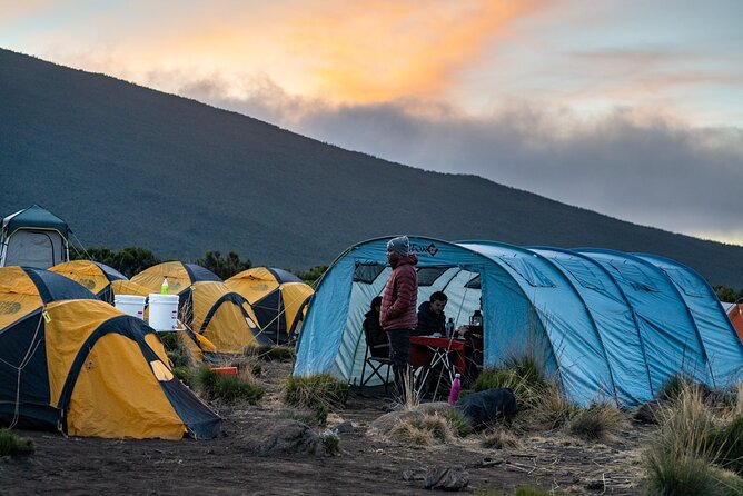 Kilimanjaro climb by Lemosho Route (7-day) - Day 2: Londorossi Gate and the first view of Shira