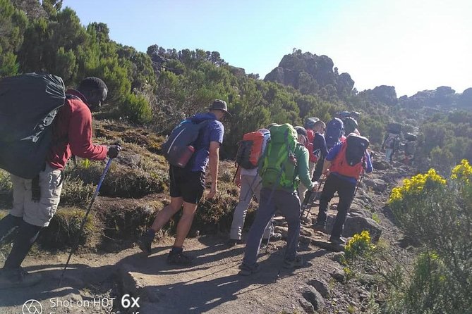 Kilimanjaro Climb- Lemosho Route - Six, seven, or eight days? Confirm the schedule