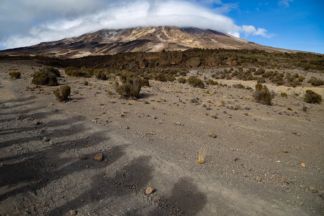 Kilimanjaro climb, Lemosho Route (6-day) - Day 3: Climbing Barranco Wall and reaching Karanga