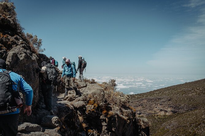 Kilimanjaro climb, Lemosho Route (6-day) - Day 6: From Millennium Camp to the rainforest