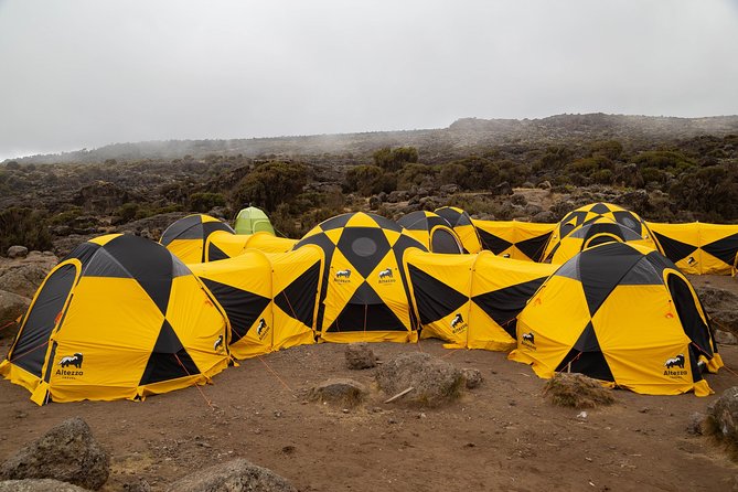 Kilimanjaro climb, Lemosho Route (6-day) - Arrival in Moshi and the first hotel night