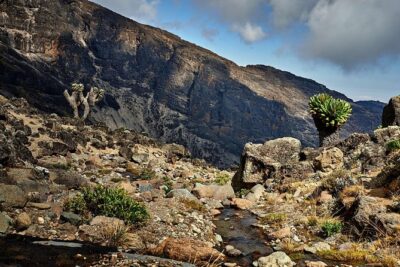 Kilimanjaro climb, Lemosho Route (8-day)