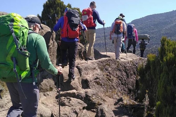 Kilimanjaro Climb- Lemosho Route - Camping gear included, personal mountain gear not included