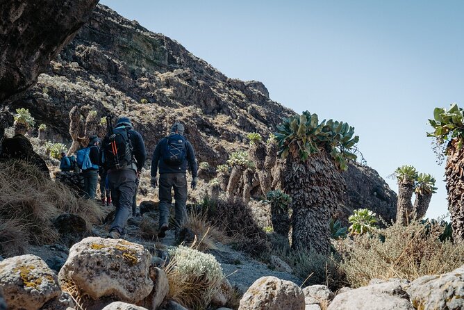 Kilimanjaro climb, Machame Route (7-day) - Day 7: Uhuru Peak and the long descent