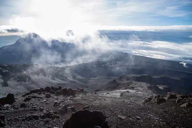 Kilimanjaro climb, Northern Circuit route (8-day) - Day 2: Londorossi Gate and the Shira Plateau