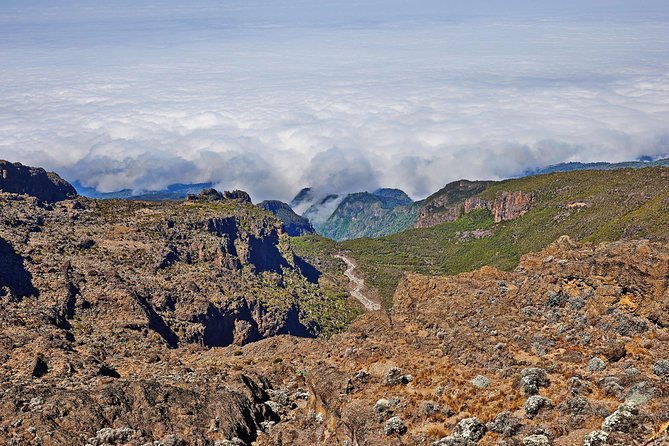 Kilimanjaro climb, Rongai Route (6-day) - Arrival in Moshi and the first night
