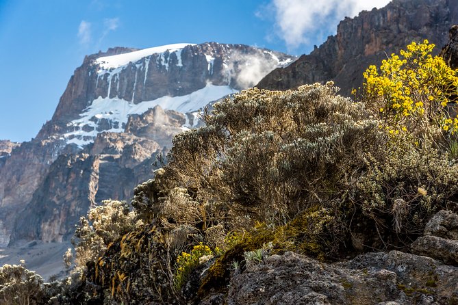 Kilimanjaro climb, Rongai Route (7-day) - Day 5: Mawenzi Tarn beneath Kilimanjaro’s second peak