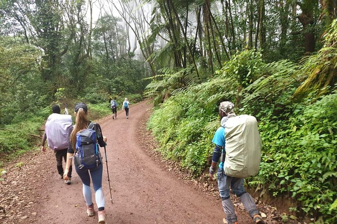 Kilimanjaro Climbing 5 days Marangu route - Day 4: Kibo Hut to Uhuru Peak and Back to Horombo