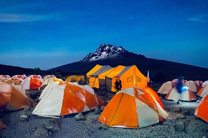 Kilimanjaro Climbing Lemosho Route 8 Days. - Day 2: Rainforest from Londorossi Gate to Mti Mkubwa