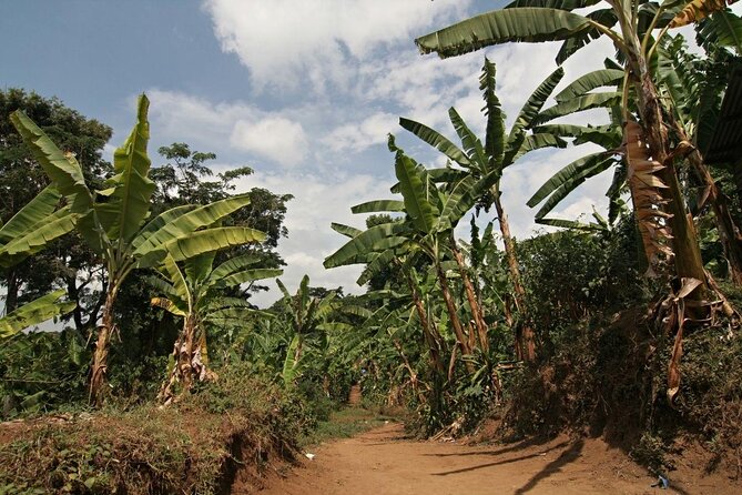 Kilimanjaro Day Hike Marangu Route - Marangu culture, food, and market life