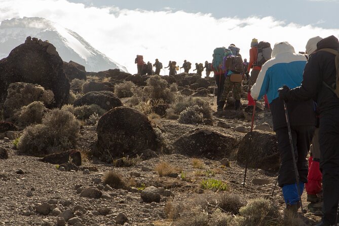 Kilimanjaro Day Hike Marangu Route - What the $391.67 price means
