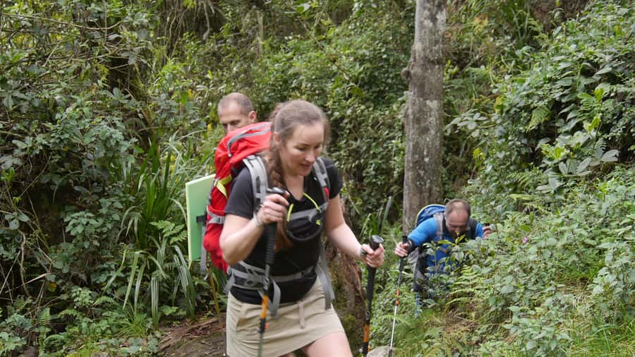 Kilimanjaro: Day trip -hike to Mandara Hut Kilimanjaro 2700m - Key points to know before you book