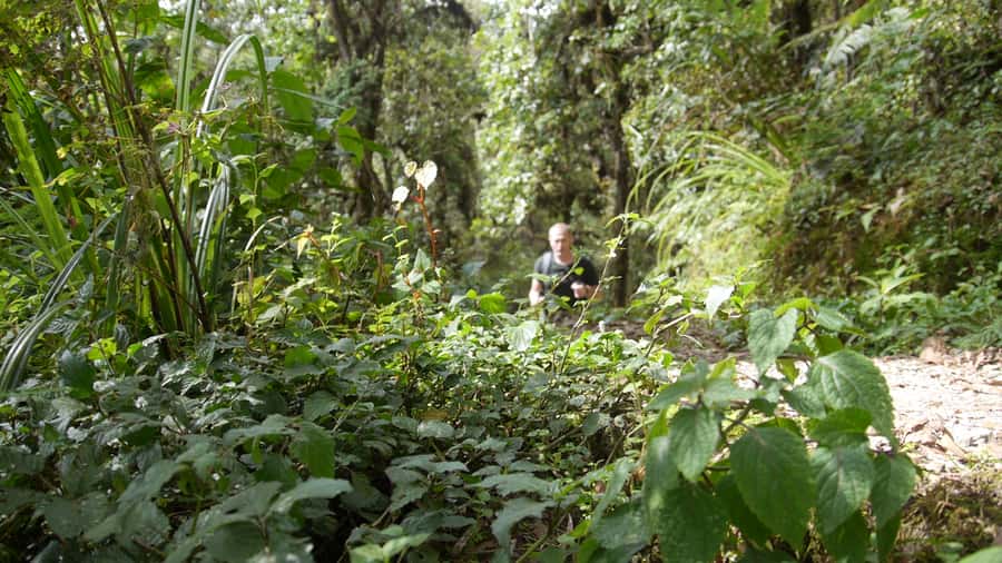 Kilimanjaro: Day trip -hike to Mandara Hut Kilimanjaro 2700m - What to pack for the 8-kilometer route