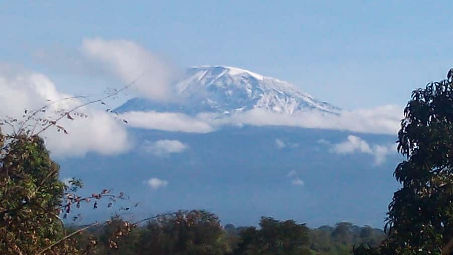 Kilimanjaro: Day trip -hike to Mandara Hut Kilimanjaro 2700m - Walking through Kilimanjaro’s montane forest