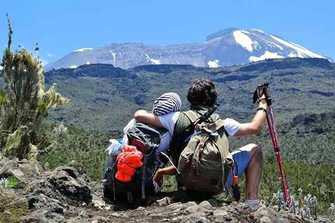 Kilimanjaro day trip starting from Arusha - Three hours through the Montane Forest