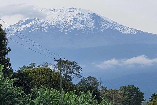Kilimanjaro day trip starting from Arusha - The descent and return to Arusha