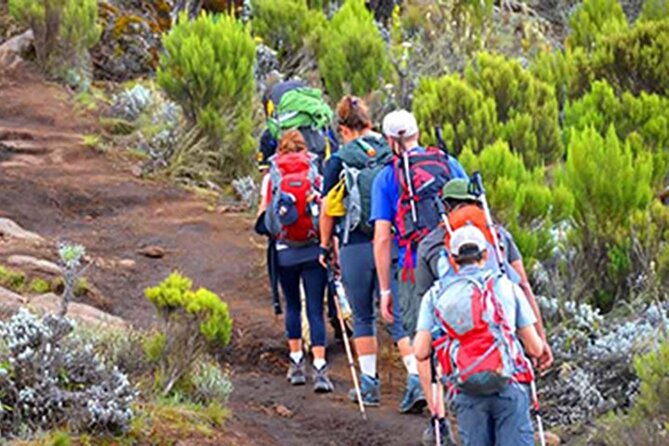 Kilimanjaro day trip starting from Arusha - What the $315 price really covers